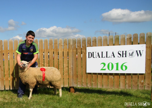 Dualla Show 2016