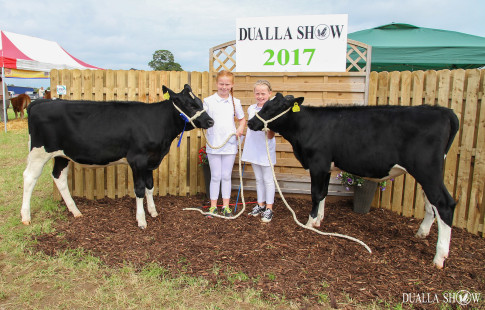 Dualla Show 2017