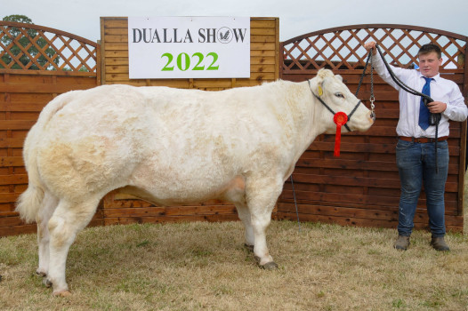 Livestock 2022