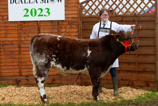 Livestock 2023